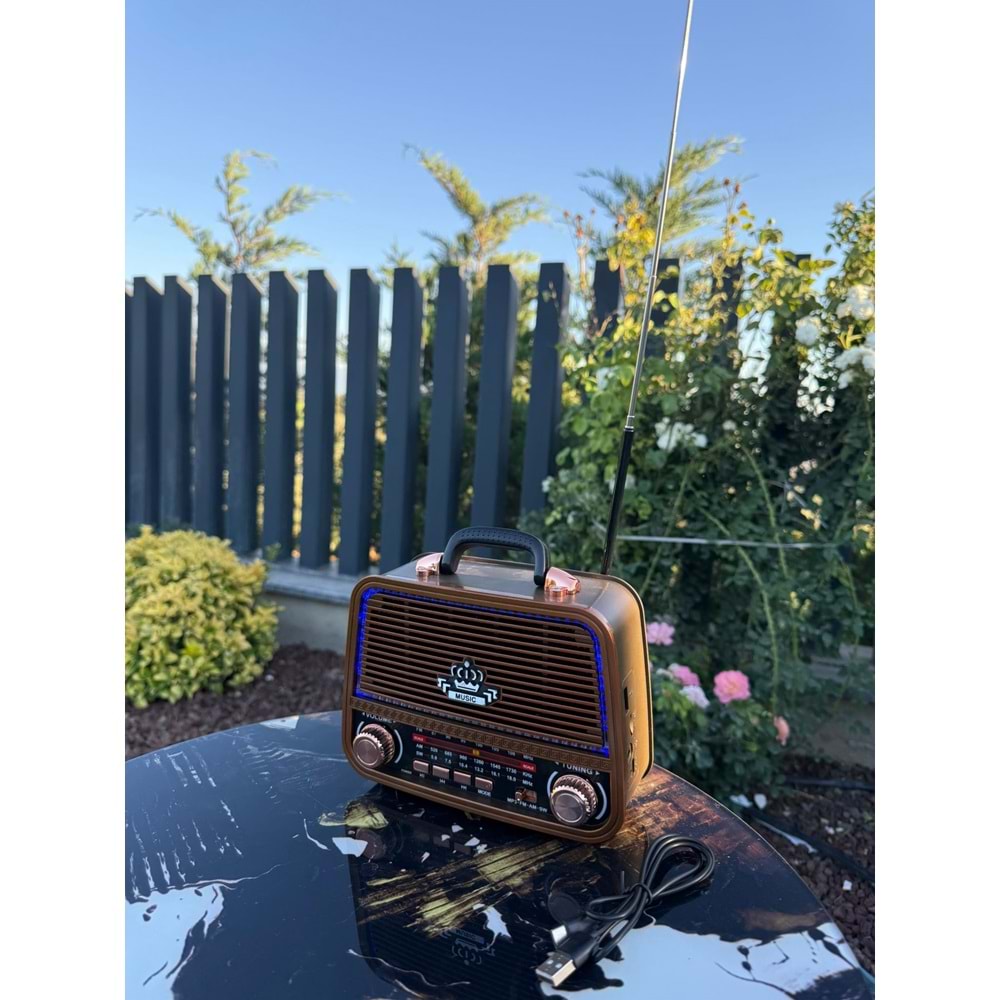 CAMERON 303 LEDLİ NOSTALJİK RADYO