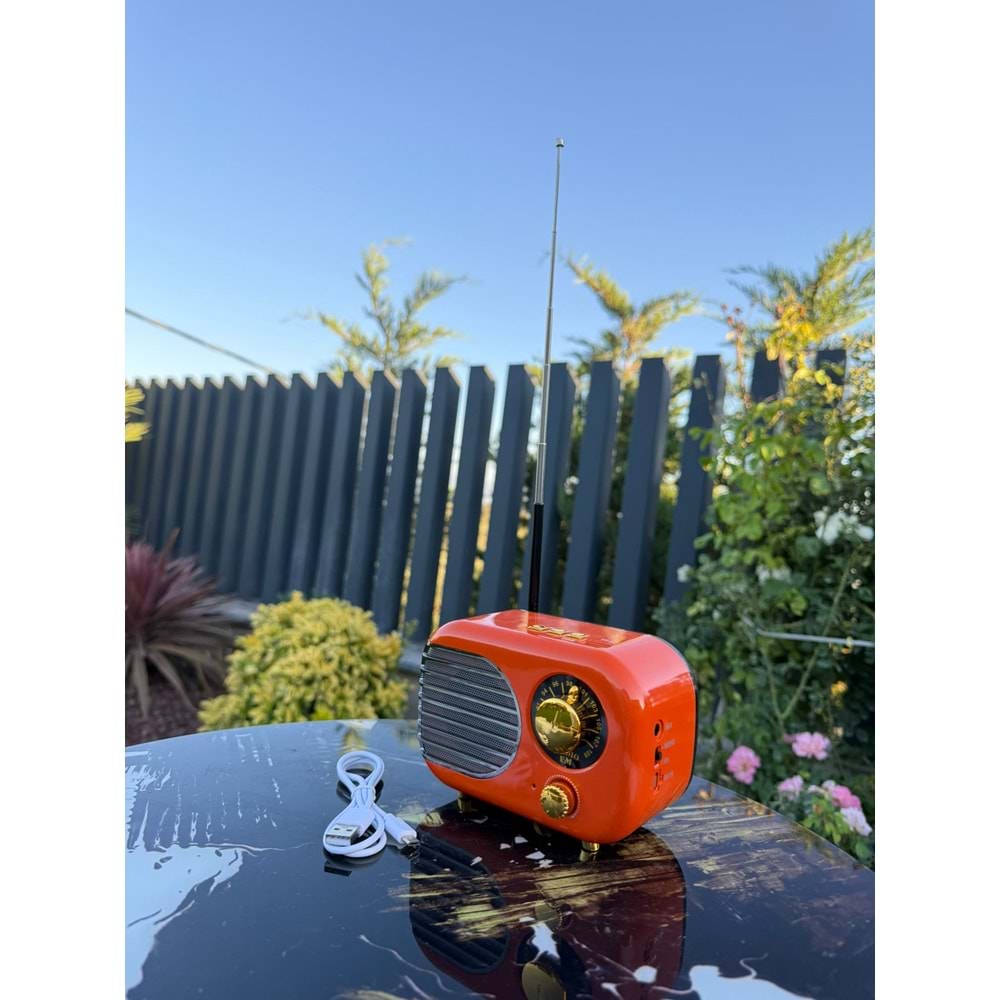 CAMERON 101 ŞARZLI NOSTALJİK RADYO