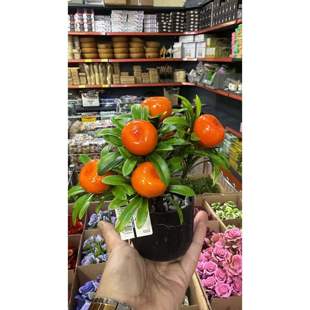 MANDALİNA SAKSI ÇİÇEK