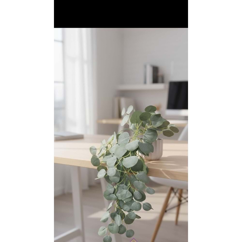 OKALİPTUS SAKSILI KUMAŞ SARKAN ÇİÇEK