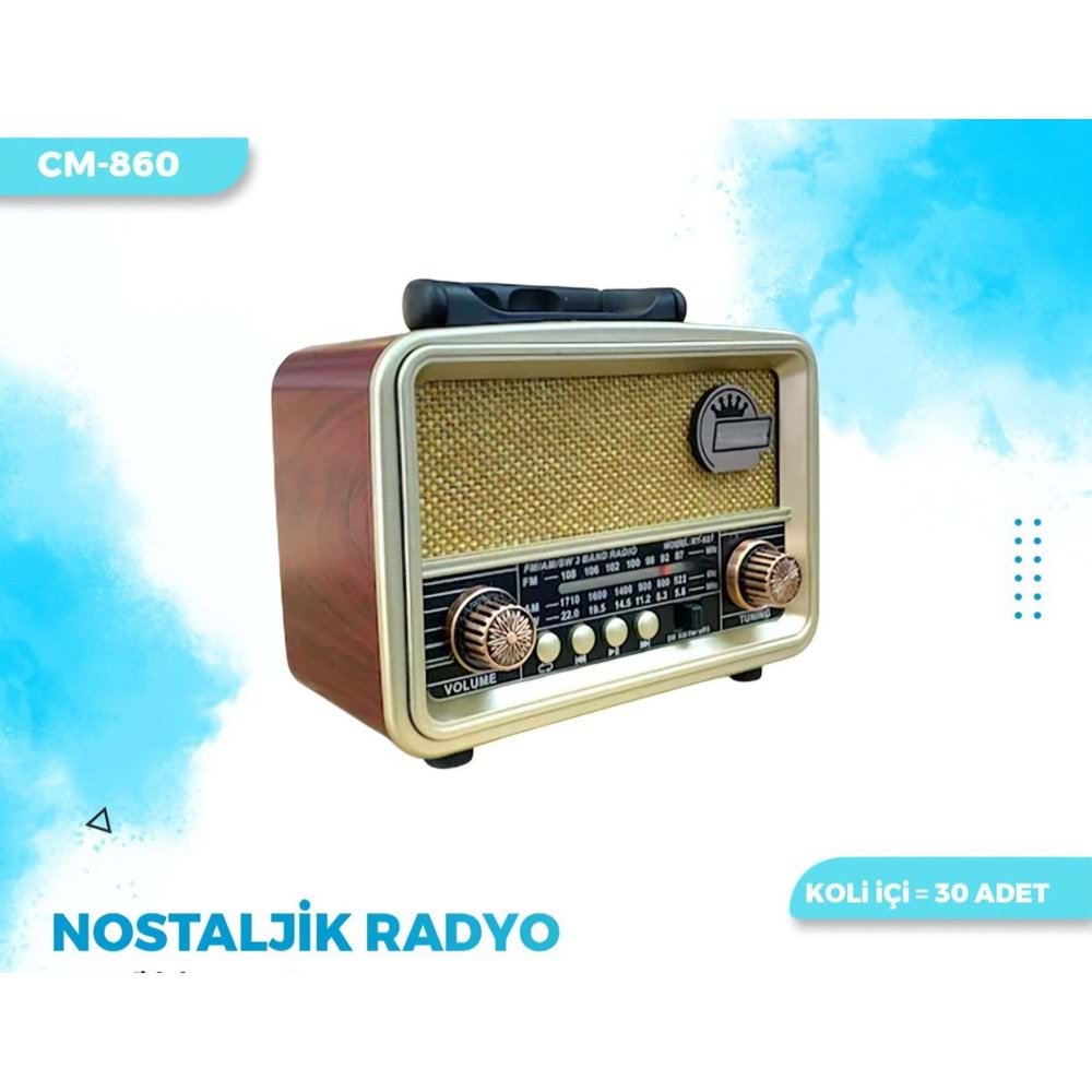 CAMERON NOSTALJİK RADYO CM-860