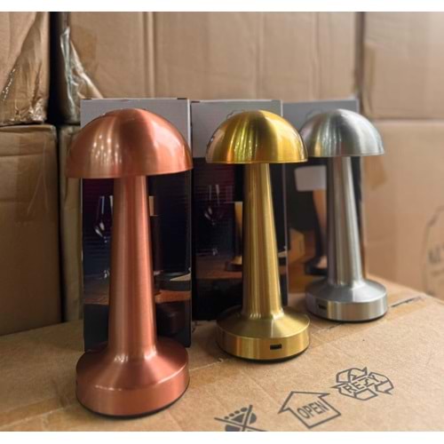 MANTAR DEKORATİF LED LAMBA GOLD