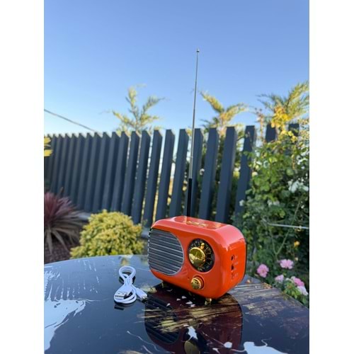 CAMERON 101 ŞARZLI NOSTALJİK RADYO