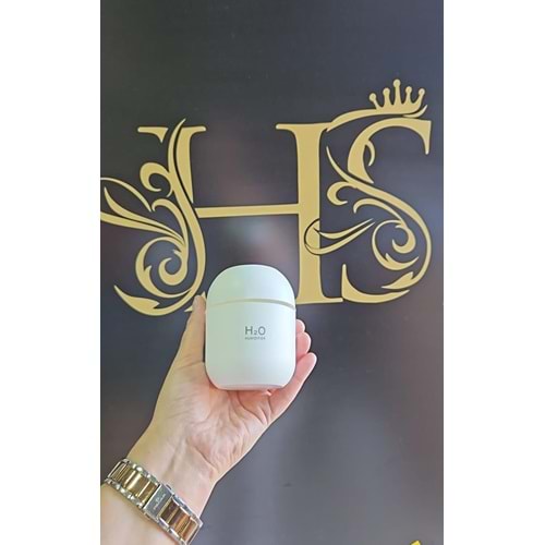 H2O HAVA NEMLENDİRİCİ MİNİ BOY