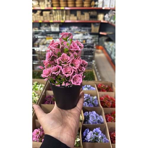 DEKORATİF YAPRAKLI GÜL