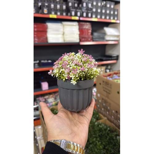 RENKLİ MİNİ TOP ÇİÇEK