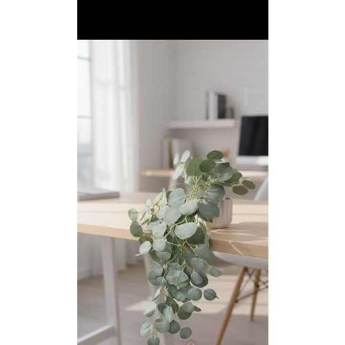 OKALİPTUS SAKSILI KUMAŞ SARKAN ÇİÇEK