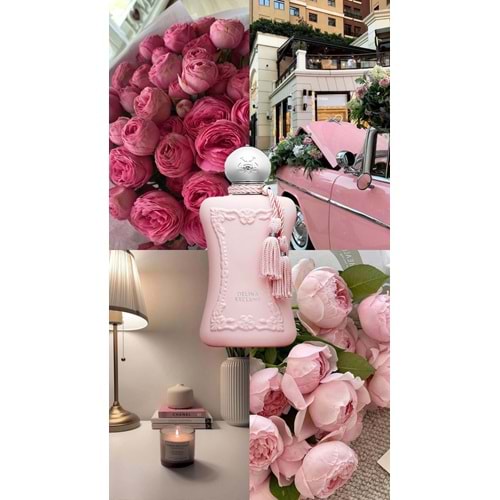 DELİNA KADIN PARFÜMÜ