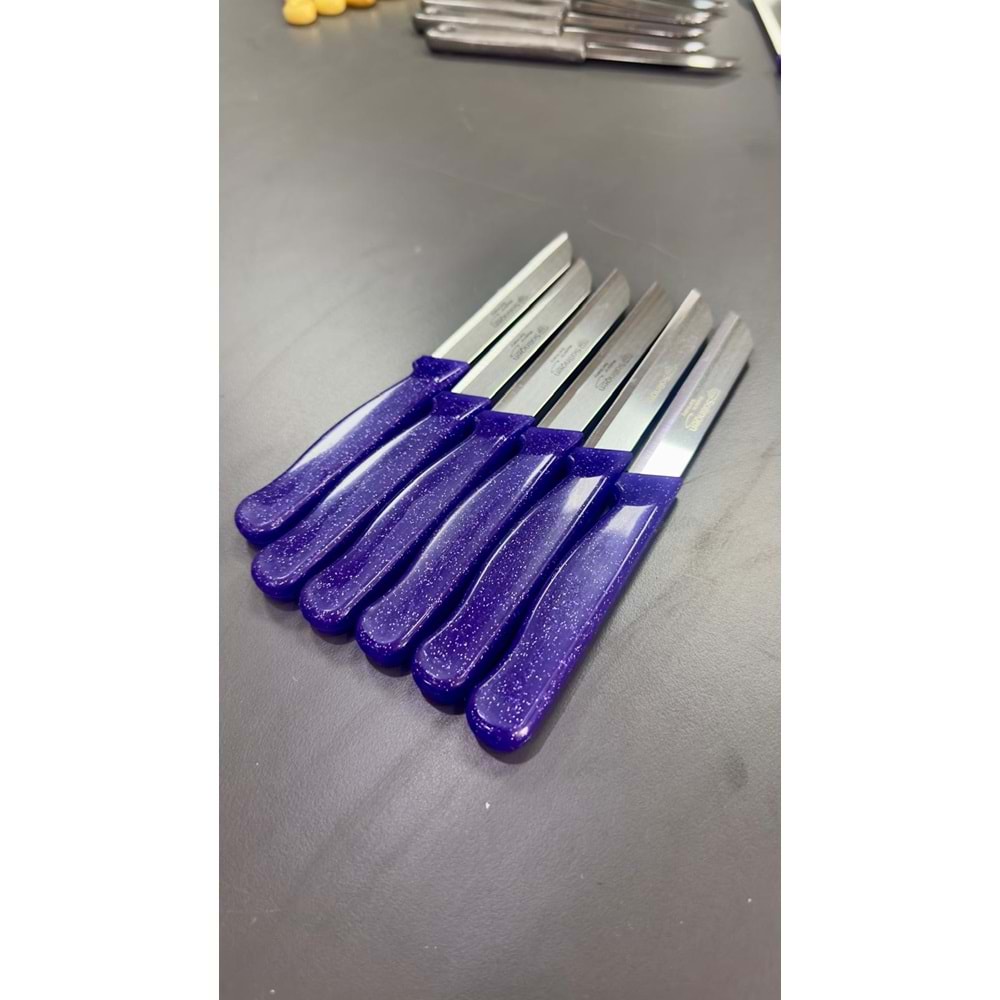 SOLİNGEN 3. GRUP SİMLİ MEYVE BIÇAĞI LACİVERT